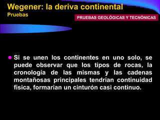 Wegener: la deriva continental
Pruebas               PRUEBAS GEOLÓGICAS Y TECNÓNICAS




 Si se unen los continentes en uno solo, se
  puede observar que los tipos de rocas, la
  cronología de las mismas y las cadenas
  montañosas principales tendrían continuidad
  física, formarían un cinturón casi continuo.
 
