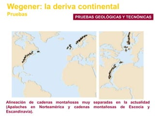Wegener: la deriva continental
Pruebas                       PRUEBAS GEOLÓGICAS Y TECNÓNICAS




Alineación de cadenas montañosas muy separadas en la actualidad
(Apalaches en Norteamérica y cadenas montañosas de Escocia y
Escandinavia).
 