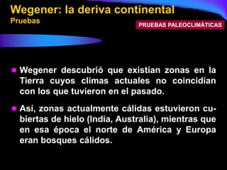 Wegener: la deriva continental
Pruebas                        PRUEBAS PALEOCLIMÁTICAS




 Wegener descubrió que existían zonas en la
  Tierra cuyos climas actuales no coincidían
  con los que tuvieron en el pasado.
 Así, zonas actualmente cálidas estuvieron cu-
  biertas de hielo (India, Australia), mientras que
  en esa época el norte de América y Europa
  eran bosques cálidos.
 