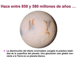 Hace entre 850 y 580 millones de años …




  La disminución del efecto invernadero congela la práctica totali-
   dad de la superficie del planeta. Una glaciación casi global con-
   vierte a la Tierra en un planeta blanco.
 