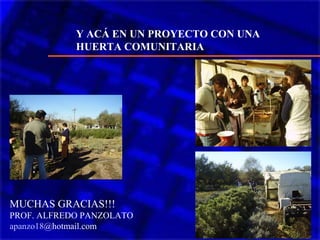 Y ACÁ EN UN PROYECTO CON UNA
HUERTA COMUNITARIA
MUCHAS GRACIAS!!!
PROF. ALFREDO PANZOLATO
apanzo18@hotmail.com
 