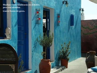 Muchas veces sembrarás en el dolor,  pero esa siembra  traerá frutos de gozo .  