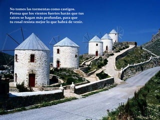 No tomes las tormentas como castigos. Piensa que los vientos fuertes harán que tus raíces se hagan más profundas, para que tu rosal resista mejor lo que habrá de venir.  