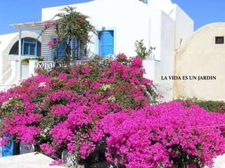 LA VIDA ES UN JARDIN 