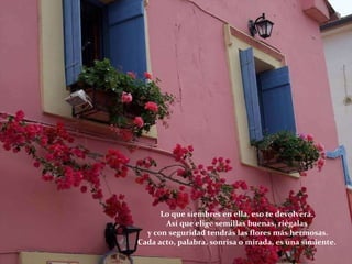 Lo que siembres en ella, eso te devolverá.  Así que elige semillas buenas, riégalas  y con seguridad tendrás las flores más hermosas. Cada acto, palabra, sonrisa o mirada, es una simiente.  