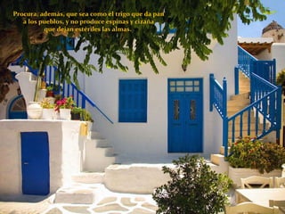 Procura, además, que sea como el trigo que da pan a los pueblos, y no produce espinas y cizaña  que dejan estériles las almas.  