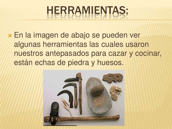 La vida de nuestros antepasados