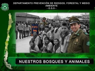 DEPARTAMENTO PREVENCIÓN DE RIESGOS, FORESTAL Y MEDIODEPARTAMENTO PREVENCIÓN DE RIESGOS, FORESTAL Y MEDIO
AMBIENTEAMBIENTE
-- O.S.5 -O.S.5 -
NUESTROS BOSQUES Y ANIMALES
 