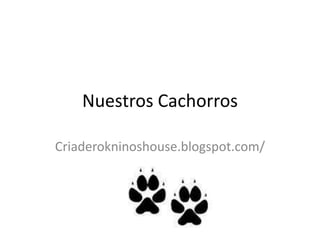 Nuestros Cachorros Criaderokninoshouse.blogspot.com/ 