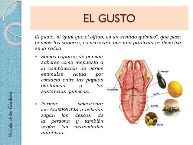 Papilas Gustativas Irritadas Y Dolor De Garganta