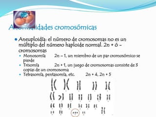 Anormalidades cromosómicas
 Aneuploidía: el número de cromosomas no es un
múltiplo del número haploide normal. 2n + ó -
cromosomas
 Monosomía 2n – 1, un miembro de un par cromosómico se
pierde
 Trisomía 2n + 1, un juego de cromosomas consiste de 3
copias de un cromosoma
 Tetrasomía, pentasomía, etc. 2n + 4, 2n + 5
 