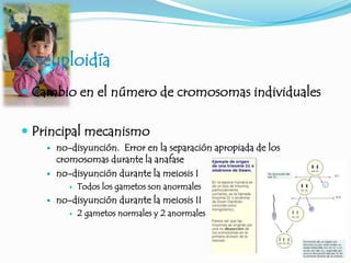 Aneuploidía
 Cambio en el número de cromosomas individuales
 Principal mecanismo
 no-disyunción. Error en la separación apropiada de los
cromosomas durante la anafase
 no-disyunción durante la meiosis I
 Todos los gametos son anormales
 no-disyunción durante la meiosis II
 2 gametos normales y 2 anormales
 