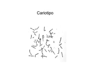 UATx
Centro de Investigación en Genética y Ambiente
Posgrado en Ciencias Ambientales
 