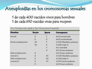 1 de cada 400 nacidos vivos para hombres
1 de cada 650 nacidas vivas para mujeres
Aneuploidías en los cromosomas sexuales
 