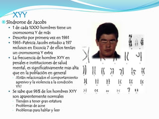 XYY
Síndrome de Jacobs
 1 de cada 1000 hombres tiene un
cromosoma Y de más
 Descrito por primera vez en 1961
 1965-Patricia Jacobs estudio a 197
reclusos en Escocia 7 de ellos tenían
un cromosoma Y extra
 La frecuencia de hombre XYY en
penales e instituciones de salud
mental, es significativamente mas alta
que en la población en general
 ¿Están relacionados el comportamiento
agresivo y la violencia a la condición
YY?
 Se sabe que 96% de los hombres XYY
son aparentemente normales
 Tienden a tener gran estatura
 Problemas de acne
 Problemas para hablar y leer
 