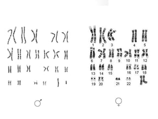 UATx
Centro de Investigación en Genética y Ambiente
Posgrado en Ciencias Ambientales
 