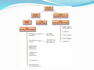 Nuestros cromosomas y sus alteraciones sc2008