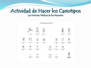 Actividad de Hacer los Cariotipos
Las Historias Médicas de los Pacientes
 