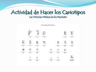 Actividad de Hacer los Cariotipos
Las Historias Médicas de los Pacientes
 