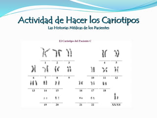 Actividad de Hacer los Cariotipos
Las Historias Médicas de los Pacientes
 
