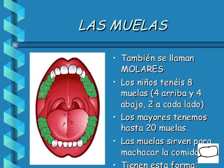 Nuestros dientes