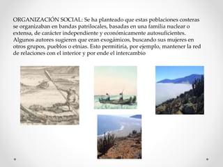 ORGANIZACIÓN SOCIAL: Se ha planteado que estas poblaciones costeras
se organizaban en bandas patrilocales, basadas en una familia nuclear o
extensa, de carácter independiente y económicamente autosuficientes.
Algunos autores sugieren que eran exogámicos, buscando sus mujeres en
otros grupos, pueblos o etnias. Esto permitiría, por ejemplo, mantener la red
de relaciones con el interior y por ende el intercambio
 