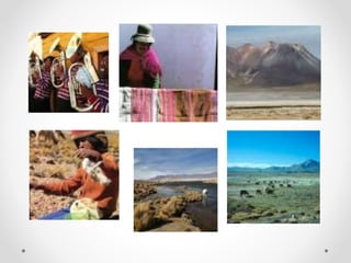 Nuestros Pueblos Originarios Zona Norte