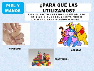 PIEL Y MANOS ¿PARA QUÉ LAS UTILIZAMOS? CON EL TACTO SABEMOS SI UN OBJETO ES LISO O RUGOSO, SI ESTÁ FRIO O CALIENTE, SI ES BLANDO O DURO … ACARICIAR ABRAZAR CONSTRUIR … 