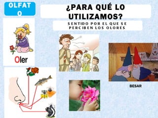 OLFATO ¿PARA QUÉ LO UTILIZAMOS? SENTIDO POR EL QUE SE PERCIBEN LOS OLORES BESAR 