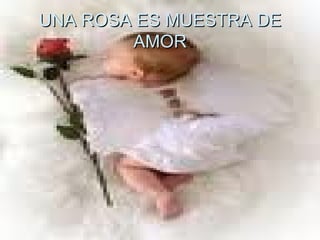 UNA ROSA ES MUESTRA DE AMOR 