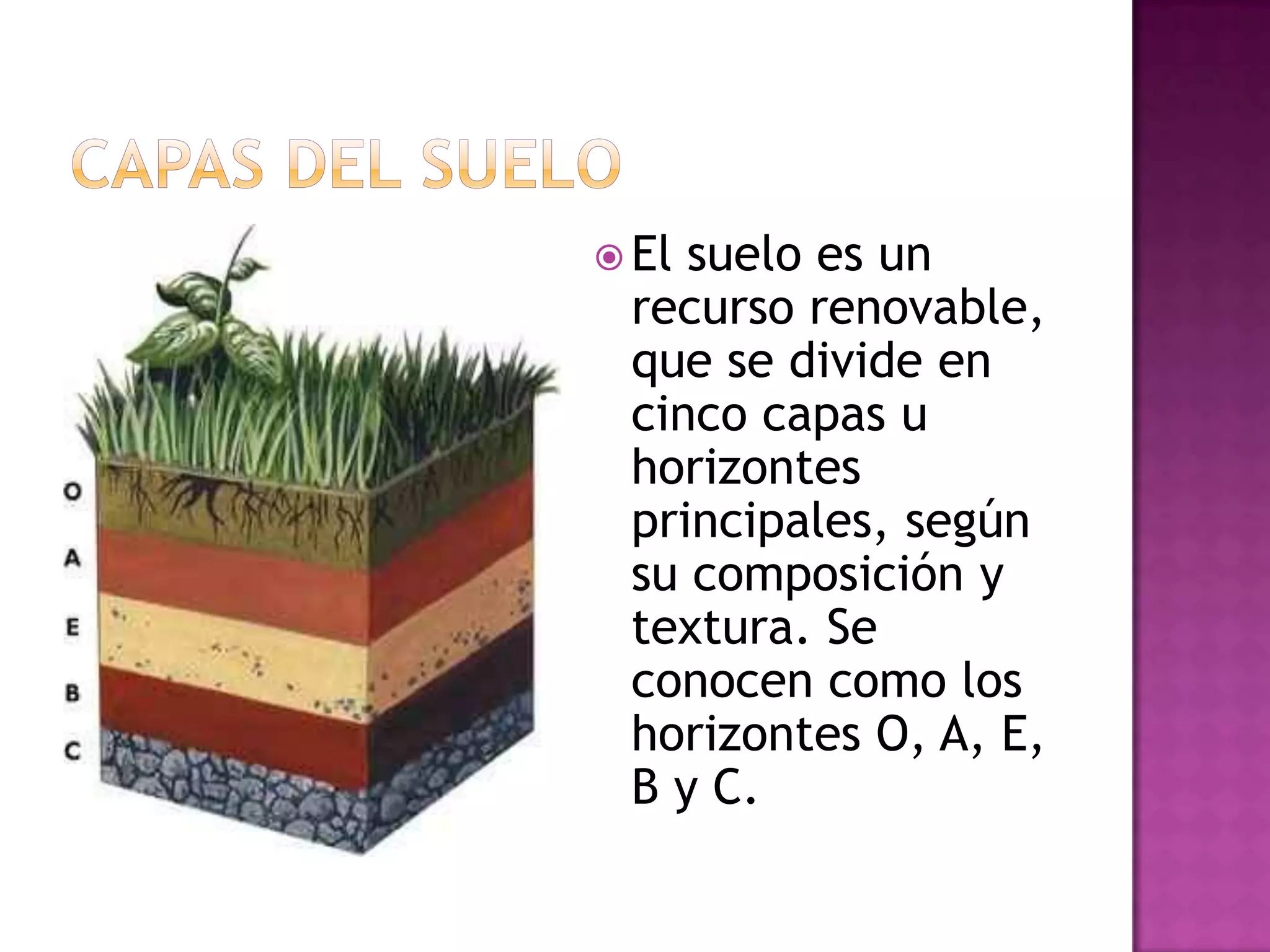 Capas del sueloEl suelo es un recurso renovable, que se divide en cinco capas u horizontes principales, según su composición y textura. Se conocen como los horizontes O, A, E, B y C.