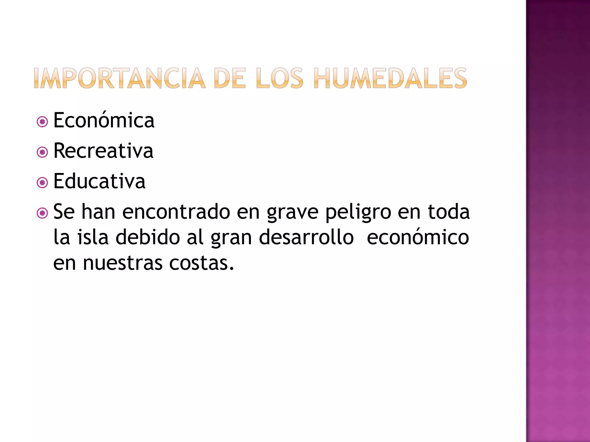Importancia de los humedalesEconómica RecreativaEducativaSe han encontrado en grave peligro en toda la isla debido al gran desarrollo  económico en nuestras costas.