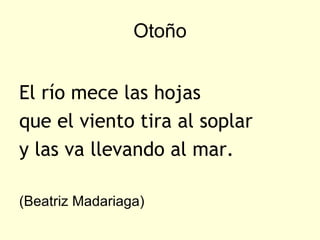 Otoño


El río mece las hojas
que el viento tira al soplar
y las va llevando al mar.

(Beatriz Madariaga)
 