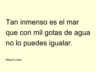 Tan inmenso es el mar
que con mil gotas de agua
no lo puedes igualar.

Miguel Lucea
 