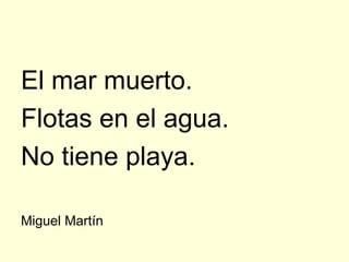 El mar muerto.
Flotas en el agua.
No tiene playa.

Miguel Martín
 