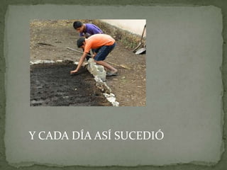 Y CADA DÍA ASÍ SUCEDIÓ
 