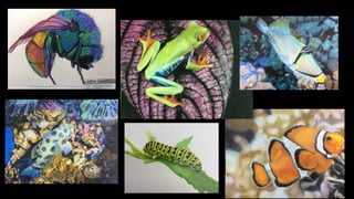 Nuestro trabajo de ilustracion estudiantes 2013 2016