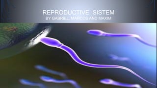 REPRODUCTIVE SISTEM
BY GABRIEL, MARCOS AND MAXIM
 
