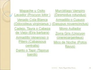 11/11/11 Pedro Miguel Oliva Flores 