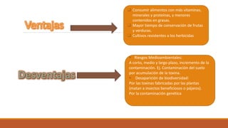  Consumir alimentos con más vitaminas, 
minerales y proteínas, y menores 
contenidos en grasas. 
 Mayor tiempo de conservación de frutas 
y verduras. 
 Cultivos resistentes a los herbicidas 
 Riesgos Medioambientales: 
A corto, medio y largo plazo, incremento de la 
contaminación. Ej. Contaminación del suelo 
por acumulación de la toxina. 
 Desaparición de biodiversidad: 
Por las toxinas fabricadas por las plantas 
(matan a insectos beneficiosos o pájaros). 
Por la contaminación genética 
 
