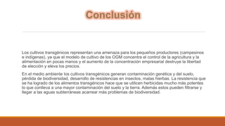 Los cultivos transgénicos representan una amenaza para los pequeños productores (campesinos 
e indígenas), ya que el modelo de cultivo de los OGM concentra el control de la agricultura y la 
alimentación en pocas manos y el aumento de la concentración empresarial destruye la libertad 
de elección y eleva los precios. 
En el medio ambiente los cultivos transgénicos generan contaminación genética y del suelo, 
pérdida de biodiversidad, desarrollo de resistencias en insectos, malas hierbas. La resistencia que 
se ha logrado de los alimentos transgénicos hace que se utilicen herbicidas mucho más potentes 
lo que conlleva a una mayor contaminación del suelo y la tierra. Además estos pueden filtrarse y 
llegar a las aguas subterráneas acarrear más problemas de biodiversidad. 
 