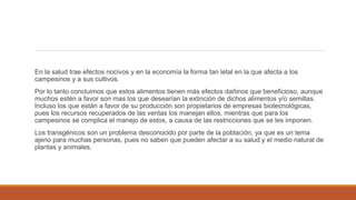En la salud trae efectos nocivos y en la economía la forma tan letal en la que afecta a los 
campesinos y a sus cultivos. 
Por lo tanto concluimos que estos alimentos tienen más efectos dañinos que beneficioso, aunque 
muchos estén a favor son mas los que desearían la extinción de dichos alimentos y/o semillas. 
Incluso los que están a favor de su producción son propietarios de empresas biotecnológicas, 
pues los recursos recuperados de las ventas los manejan ellos, mientras que para los 
campesinos se complica el manejo de estos, a causa de las restricciones que se les imponen. 
Los transgénicos son un problema desconocido por parte de la población, ya que es un tema 
ajeno para muchas personas, pues no saben que pueden afectar a su salud y el medio natural de 
plantas y animales. 
 