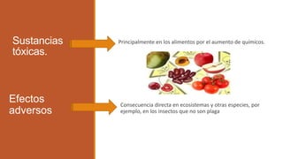 Sustancias 
tóxicas. 
Principalmente en los alimentos por el aumento de químicos. 
Consecuencia directa en ecosistemas y otras especies, por 
ejemplo, en los insectos que no son plaga 
Efectos 
adversos 
 