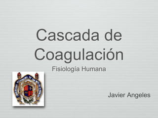 Cascada de
Coagulación
Fisiología Humana
Javier Angeles
 