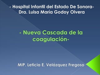 - Hospital Infantil del Estado De Sonora-
    Dra. Luisa María Godoy Olvera
 