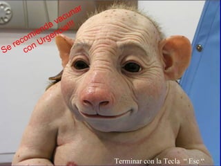 Montage : DB57440 Terminar con la Tecla  “ Esc “ Se recomienda vacunar con Urgencia!!! 