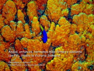 Andad, entonces, hermanos míos firmes y adelante con Fé... ¡Hasta la Victoria Siempre! ©Madeleine E. Belliard "Despertando a una Nueva Conciencia" 