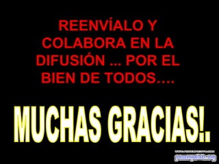 REENVÍALO Y
 COLABORA EN LA
DIFUSIÓN ... POR EL
BIEN DE TODOS….
 