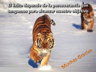 06/08/2013 Seminario Problemas Empresariales 37
 