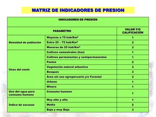 MATRIZ DE INDICADORES DE PRESION

                                 INDICADORES DE PRESIÓN


                                                                  VALOR Y/O
                            PARAMETRO
                                                                 CALIFICACIÓN
                        Mayores a 75 hab/Km2                          1
Densidad de población   Entre 25 – 75 hab/Km2                         2
                        Menores de 25 hab/Km2                         3
                        Cultivos semestrales (has)                    1
                        Cultivos permanentes y semipermanentes        1
                        Pastos                                        2
                        Vegetación natural arbustiva                  3
Usos del suelo
                        Bosques                                       3
                        Área sin uso agropecuario y/o Forestal        3
                        Urbano                                        1
                        Minero                                        1
Uso del agua para       Consumo humano
                                                                      1
consumo humano
                        Muy alta y alta                               1
Índice de escasez       Media                                         2
                        Baja y muy Baja                               3
 